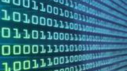 Piata romaneasca de software si servicii IT a scazut anul trecut cu 25%, la 800 mil. euro