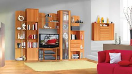 Producatorul de mobila Lemet vrea sa-si dubleze nivelul investitiilor in 2011