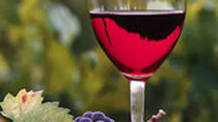 Domeniile Ostrov vrea sa-si dubleze vanzarile de vin, la 20 mil. lei in 2011