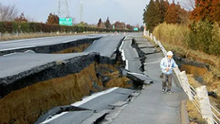 Ce efecte va avea cutremurul din Japonia asupra economiei romanesti