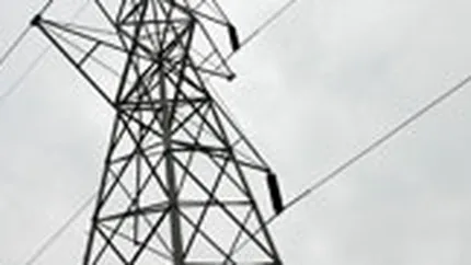 Italienii de la Enel vor sa investeaza 800 mil. euro in Romania, in intervalul 2011-2015