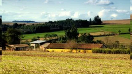 Vanzarea fermelor mici pe bucati ar putea fi interzisa