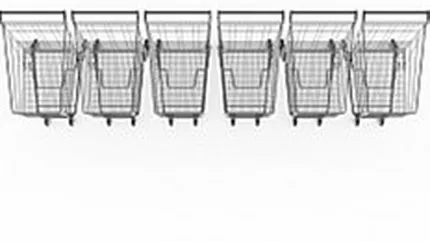 Supermarketurile au batut discounterii la numarul de magazine deschise in 2010