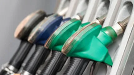 Boc cere Consiliului Concurentei si DAE sa analizeze daca preturile la carburanti pot fi inghetate