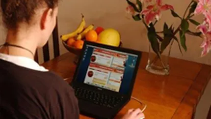 Publicitatea online a ajuns la un nivel record in 2010 in SUA