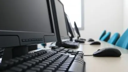 Industria de software se revigoreaza: Crestere de peste 8% in 2010