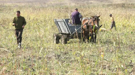 Investitiile in parloaga aduc profit garantat