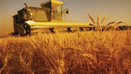 Guvernul a decis sa aplice taxarea inversa la cereale si plante tehnice, incepand cu 1 iunie