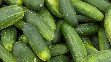 Bulgaria va declara pierderi de 10 mil. euro pe fondul crizei castravetilor