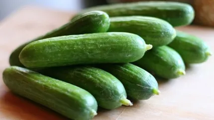 CE propune marirea despagubirilor la 210 mil. euro pentru agricultorii afectati de bacteria E.coli