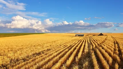 Ministrii Agriculturii din G20 au ajuns la un acord privind instabilitatea preturilor