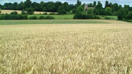 Tabara: Suprafata arabila a Romaniei a scazut in ultimii ani cu 1,2 milioane ha, la 8,2 milioane ha