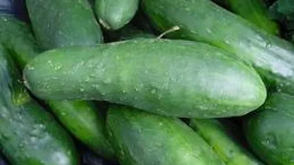 Cultivatorii romani de castraveti si rosii au solicitat CE despagubiri de 1,46 mil. euro