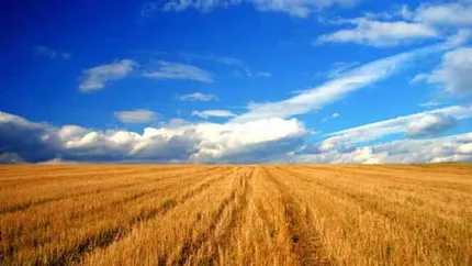 Radulescu, BNR: Notarii pun frana agricultorilor, sunt o casta formata din rudele politicienilor