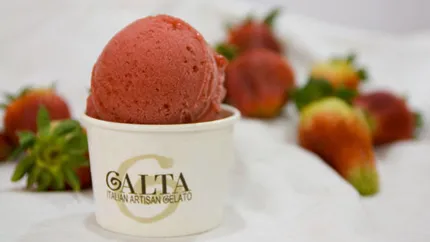 Vara, anotimpul inghetatei: Investitie de 150.000 euro in 3 gelaterii Galta
