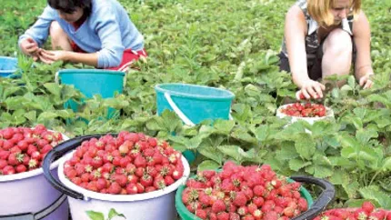 CE va putea cere oricand Spaniei sa ridice restrictiile pentru lucratorii romani