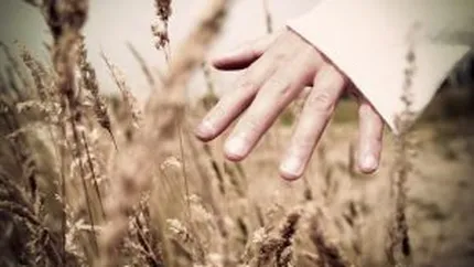 Cum lupta agricultorii cu samsarii si supermarketurile: Ne facem magazinele noastre