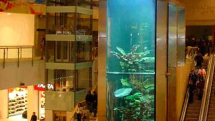 Vrei Mega Mall langa National Arena? Adreseaza-te Primariei