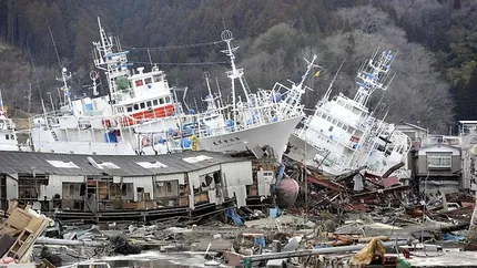 Cutremur de 6,6 grade in largul coastelor Japoniei. Autoritatile nu au emis alerta de tsunami