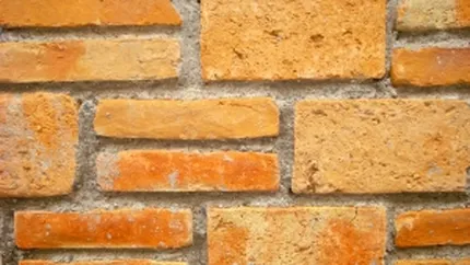 Sika se extinde in Republica Moldova si vrea afaceri de 1 mil. euro anul viitor