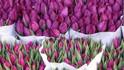 Camera de Comert romano-olandeza: Autoritatile sa nu controleze doar o anumita comunitate de afaceri