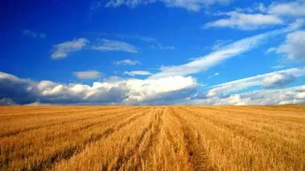 APIA: Fermierii vor primi avansul de 42 euro din SAPS 2011, incepand de saptamana viitoare