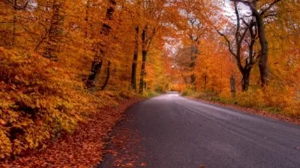 Contract de peste 500 mil. lei pentru reabilitarea unor drumuri din Salaj si Satu Mare