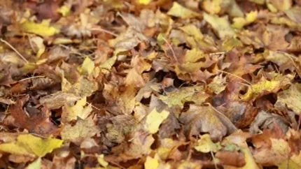 Toamna a readus pesimismul in randul romanilor: Cei mai multi estimeaza inflatie si somaj in crestere