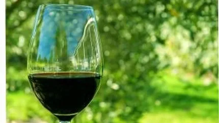 Vinurile de colectie, intre placere si investitie: Casele internationale de licitatii etaleaza venituri in crestere