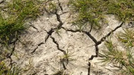 Efectele apocaliptice ale secetei in 2012: Calamitate si foamete