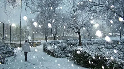 Avertizare meteo: Ninsori viscolite si vant puternic in sud si sud-est