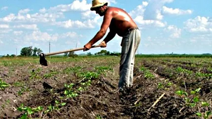 Romania ar putea vinde pamant strainilor din 2020