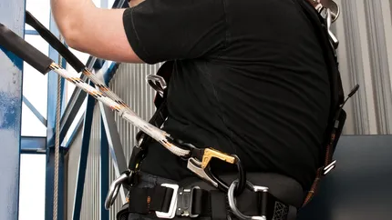 Vanzarile Renania au ajuns la nivelul record din 2008