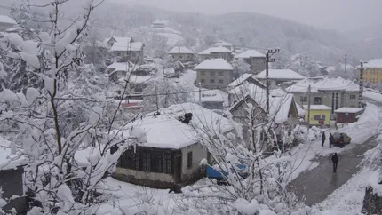 Inghetarea economiei inseamna minus 1 miliard de euro la PIB