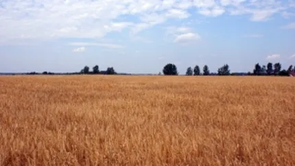 Preturile terenurilor agricole din Romania s-au dublat in ultimii ani