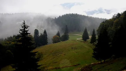 Guvernul scoate bani din Trezorerie pentru POS Mediu