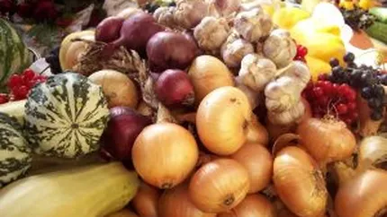 Frauda de 100 mil. euro la angrourile de legume si fructe din Voluntari si Afumati