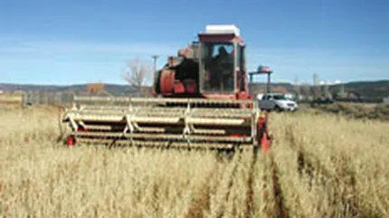 Dezvoltarea agriculturii, influentata negativ de reticenta bancilor de a oferi credite fermierilor