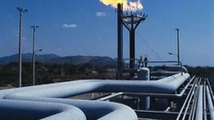 Consumul de gaze a scazut cu peste 7% in prima luna a anului