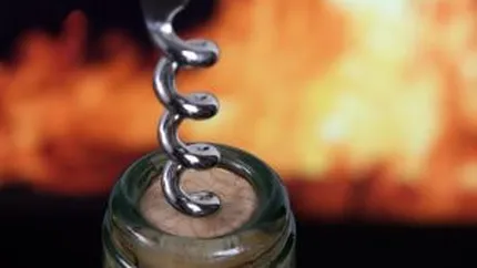 Cum fac fermierii romani bani din turismul viticol