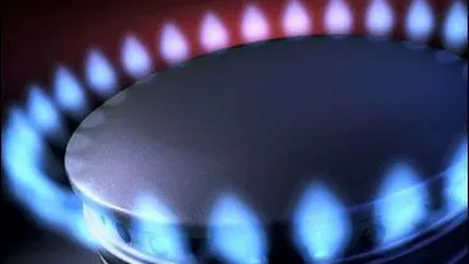 Pretul gazelor va creste cu 10-12% anual, pana in 2018. In energie, liberalizarea incepe in septembrie