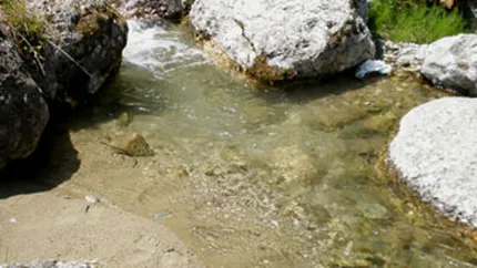 Canicula se prelungeste. Vezi cat vor atinge temperaturile