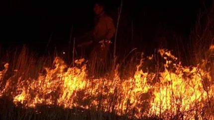 Incendii in 10 judete. Peste 115 hectare afectate