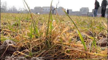 Urmeaza inca 2 luni de canicula si seceta in Romania