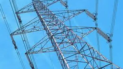 Guvernul se razgandeste si vrea sa renunte la pachetele majoritare de actiuni la filialele Electrica