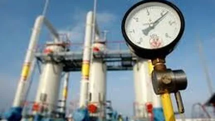 Oamenii de afaceri sustin supraimpozitarea producatorilor de gaze si electricitate