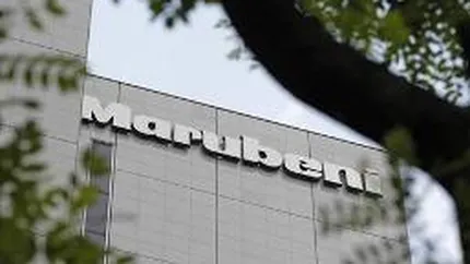 Compania japoneza Marubeni vrea sa cumpere certificate de emisii de carbon din Romania