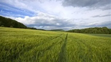Agricultura bio in Romania: Suprafete tot mai mari
