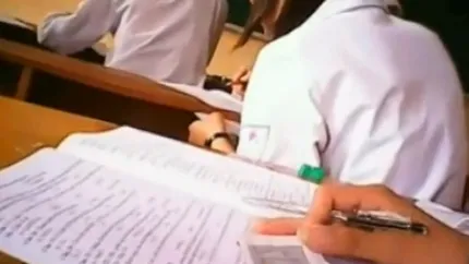 Comisia de educatie din Senat a aprobat introducerea Bacalaureatului profesional