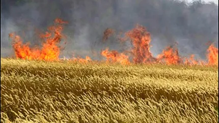 Economia Rusiei, franata de seceta si de scaderea cererii de resurse naturale